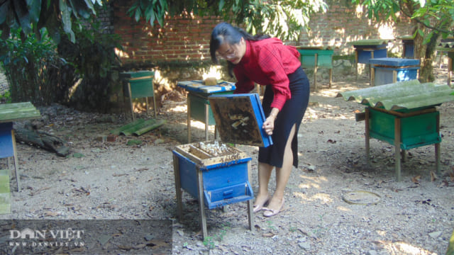 Dương Thùy Lương: Cô gái tạo vị thế cho các sản phẩm nông nghiệp sạch của quê hương