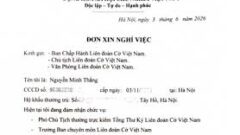 Sau loạt lùm xùm, Phó chủ tịch Liên đoàn Cờ Việt Nam từ chức vì ‘lý do sức khỏe’